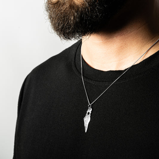 Israel map with star of david